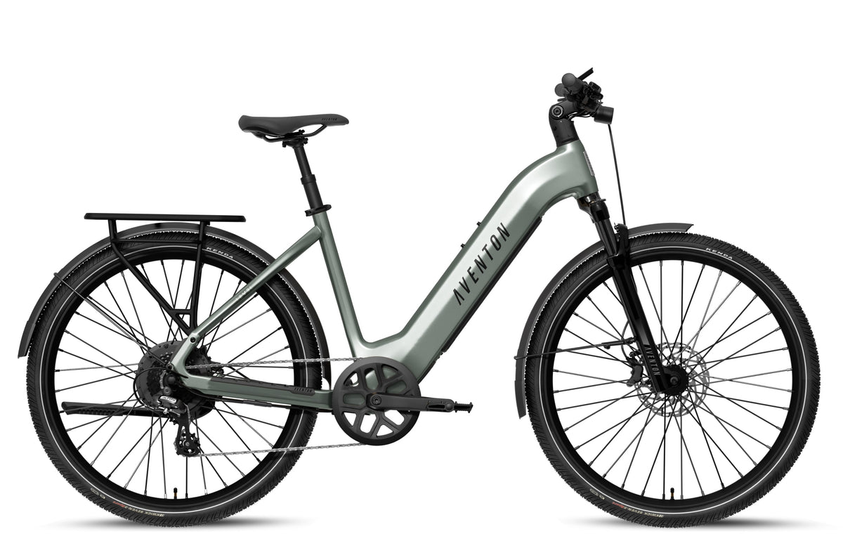 Level 4 REC Step-Through Ebike