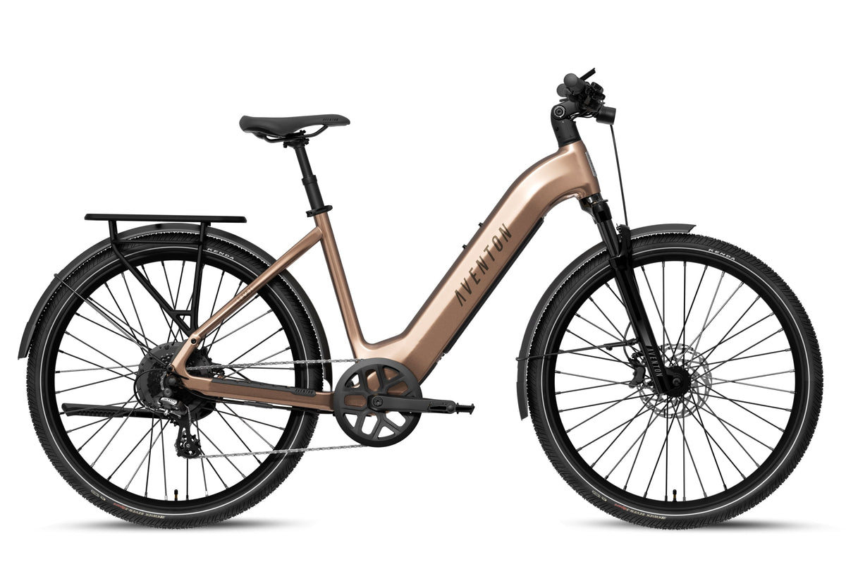 Level 4 REC Step-Through Ebike